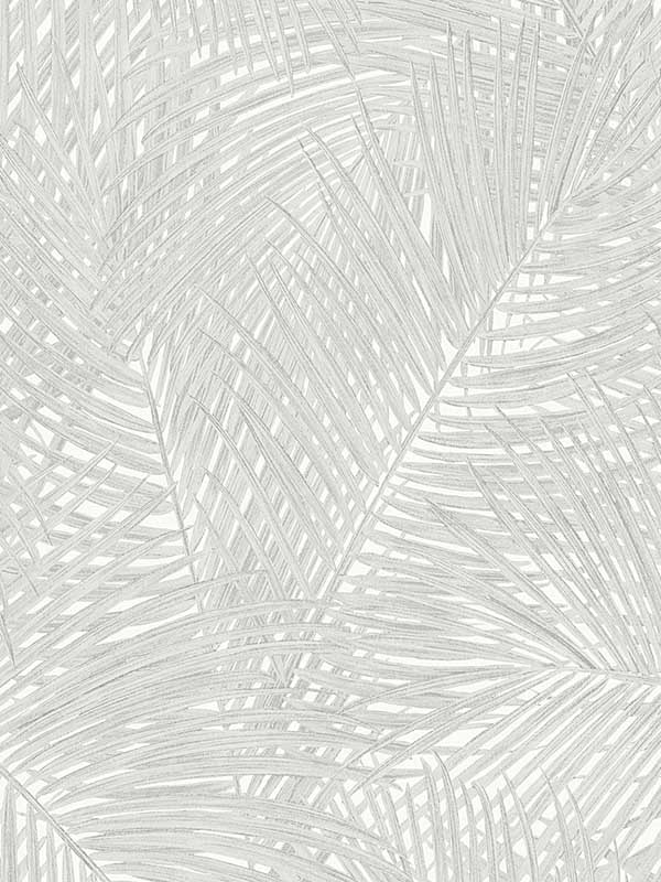 Raina Light Grey Fronds Wallpaper 2979373713 by Advantage Wallpaper for sale at Wallpapers To Go