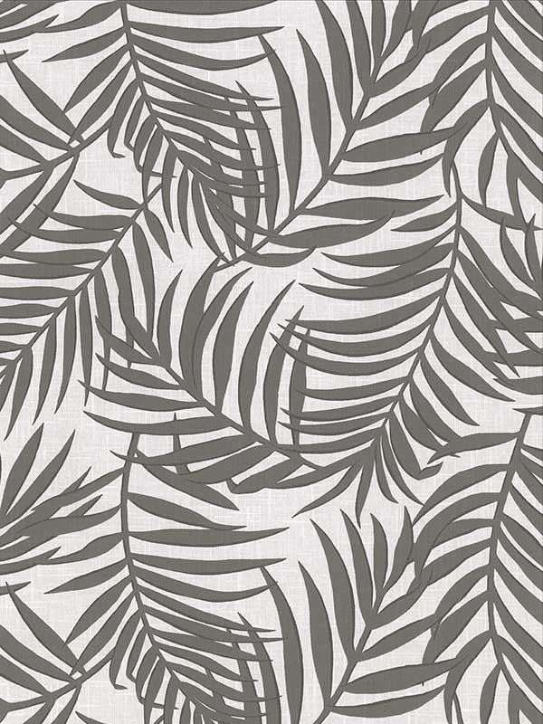 Lanai Grey Fronds Wallpaper 29451133 by Warner Wallpaper for sale at Wallpapers To Go