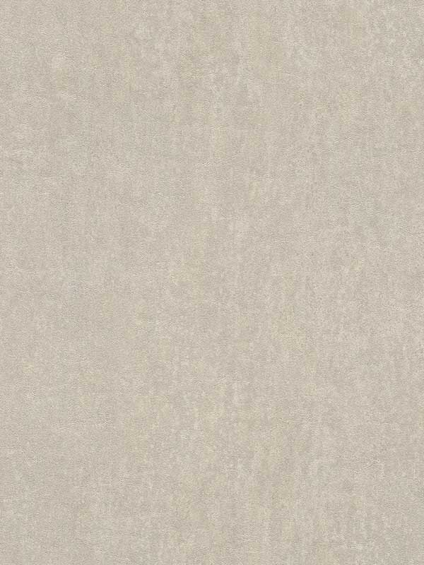 Segwick Taupe Speckled Texture Wallpaper 4015550023 by Advantage Wallpaper for sale at Wallpapers To Go