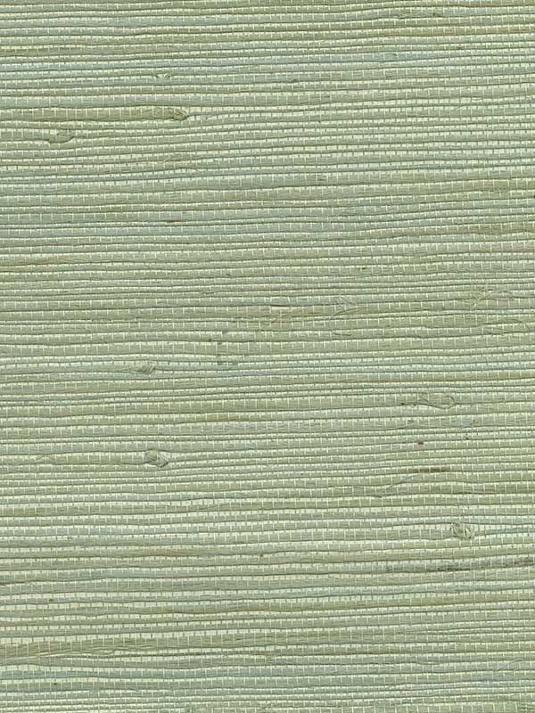 Battan Soft Green Grasscloth Wallpaper 40180008 by Advantage Wallpaper for sale at Wallpapers To Go