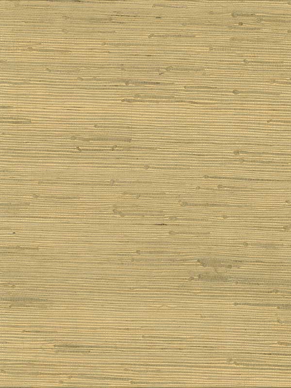 Shan Light Green Grasscloth Wallpaper 40180021 by Advantage Wallpaper for sale at Wallpapers To Go