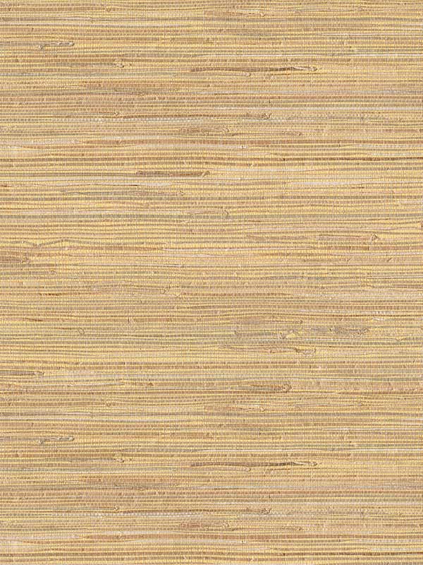 Daria Beige Grasscloth Wallpaper 40180036 by Advantage Wallpaper for sale at Wallpapers To Go
