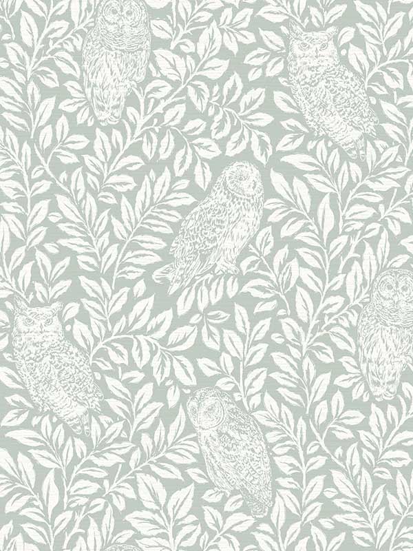 Parliament Seafoam Owl Wallpaper 312312414 by Chesapeake Wallpaper for sale at Wallpapers To Go