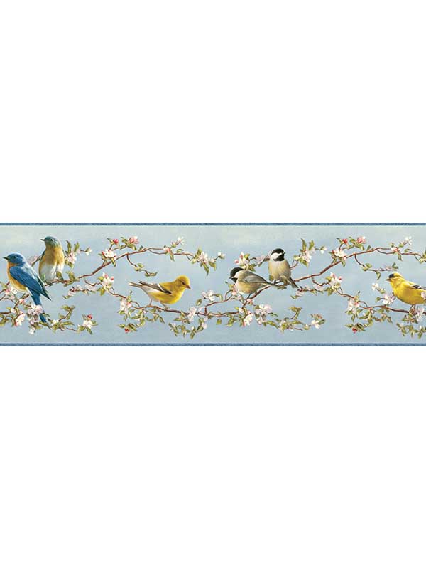 Songbird Sky Blue Trail Border 312348511 by Chesapeake Wallpaper for sale at Wallpapers To Go
