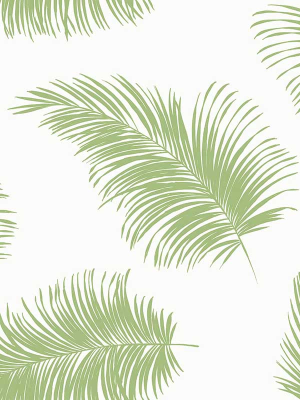 Tossed Palm Summer Fern Wallpaper LN20304 by NextWall Wallpaper for sale at Wallpapers To Go