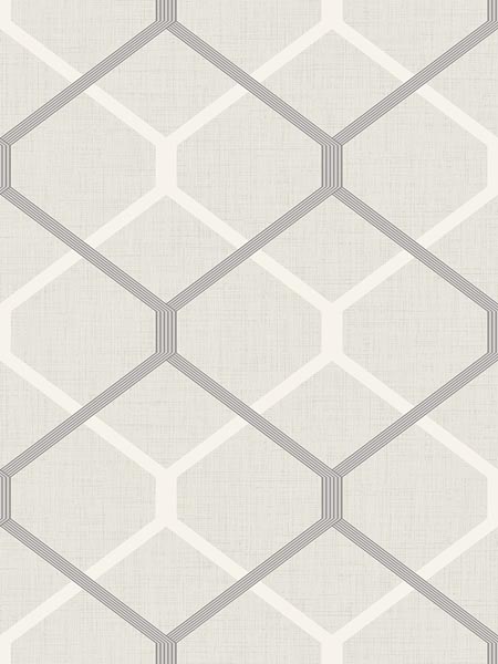 Hexagon Metallic Wallpaper MG40708 by Pelican Prints Wallpaper for sale at Wallpapers To Go