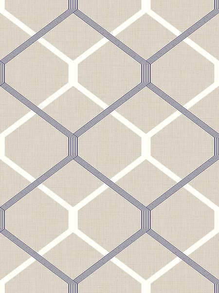 Hexagon Metallic Wallpaper MG40710 by Pelican Prints Wallpaper for sale at Wallpapers To Go