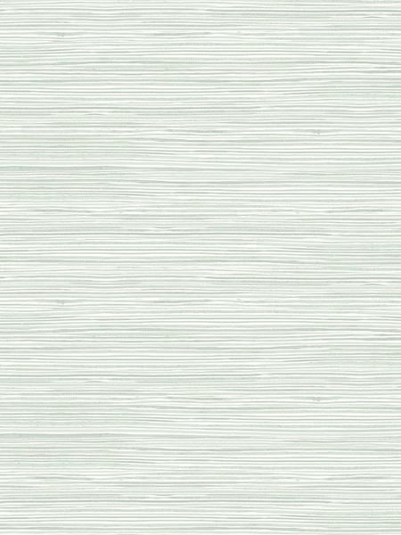 Grasscloth Look Metallic Wallpaper MG41714 by Pelican Prints Wallpaper for sale at Wallpapers To Go