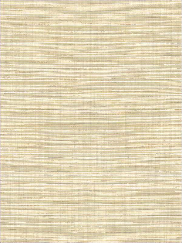 Stringcloth Grasscloth Look Textured Wallpaper JC20315 by Wallquest Wallpaper for sale at Wallpapers To Go