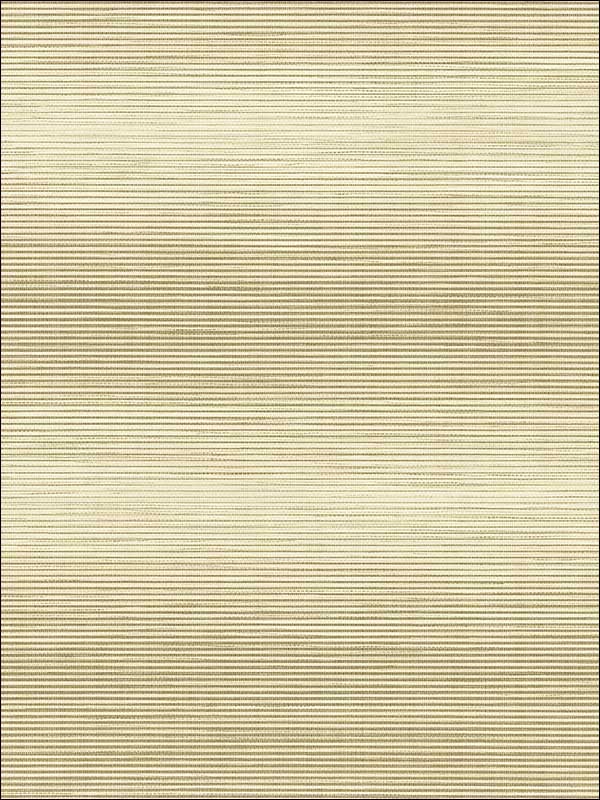 Stringcloth Grasscloth Look Metallics Textured Wallpaper JC21305 by Wallquest Wallpaper for sale at Wallpapers To Go