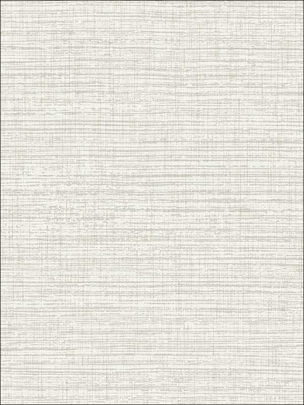 Stringcloth Textured Metallics Wallpaper JC21800 by Wallquest Wallpaper for sale at Wallpapers To Go