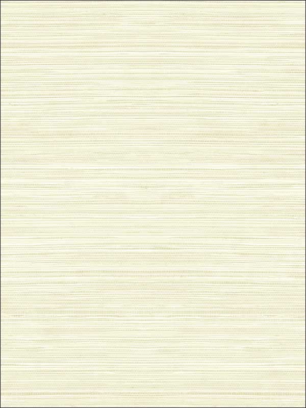 Grasscloth Look Metallics Textured Wallpaper RC10305 by Wallquest Wallpaper for sale at Wallpapers To Go