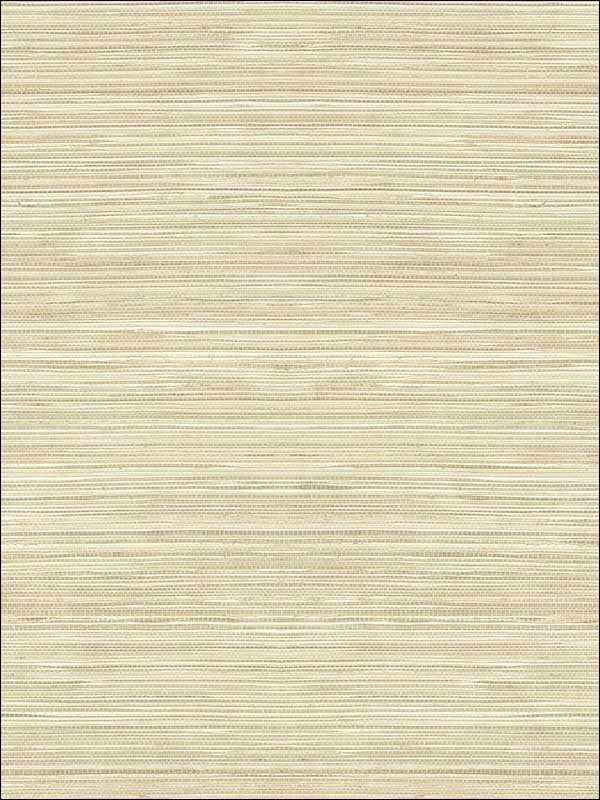 Grasscloth Look Metallics Textured Wallpaper RC10307 by Wallquest Wallpaper for sale at Wallpapers To Go