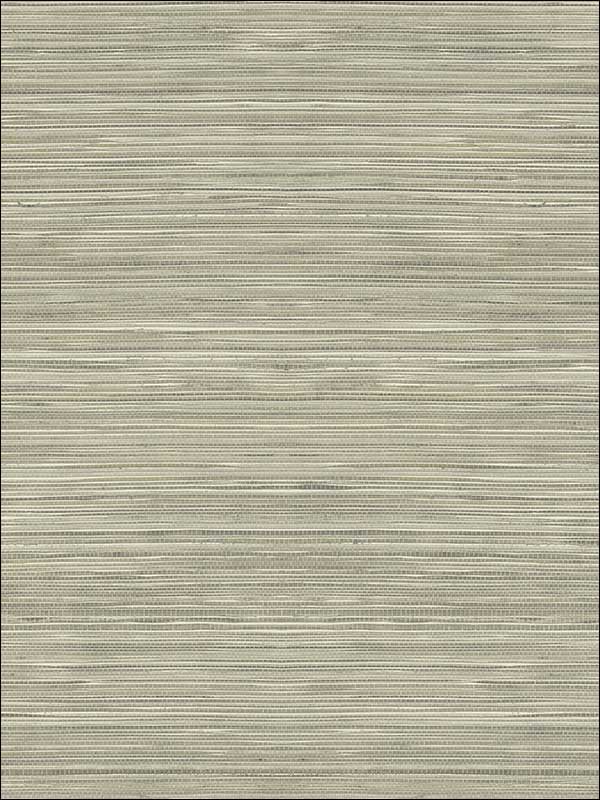 Grasscloth Look Metallics Textured Wallpaper RC10316 by Wallquest Wallpaper for sale at Wallpapers To Go