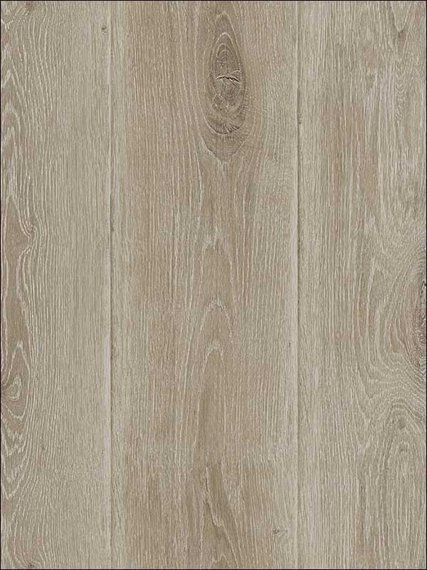 Wood Woodgrain Textured Wallpaper TL31806 by Wallquest Wallpaper for sale at Wallpapers To Go