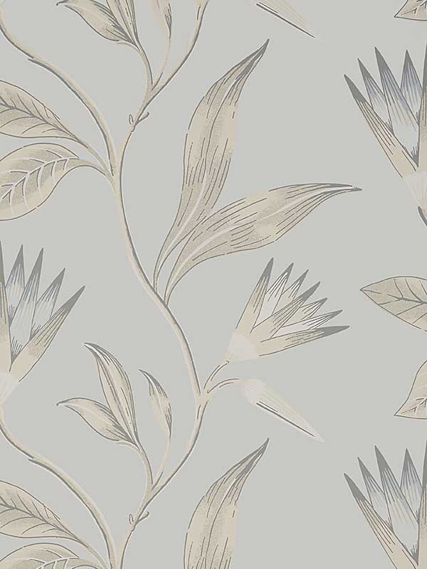 Cleo Vine Spa Blue on Grey Wallpaper AT9619 by Anna French Wallpaper for sale at Wallpapers To Go