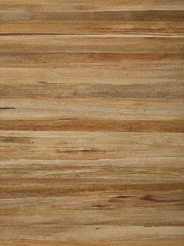 La Palma Bark Wallpaper T24052 by Thibaut Wallpaper for sale at Wallpapers To Go
