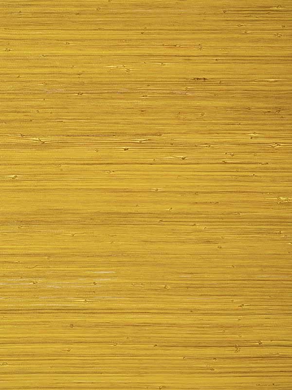 Raffia Palm Yellow Wallpaper T24069 by Thibaut Wallpaper for sale at Wallpapers To Go