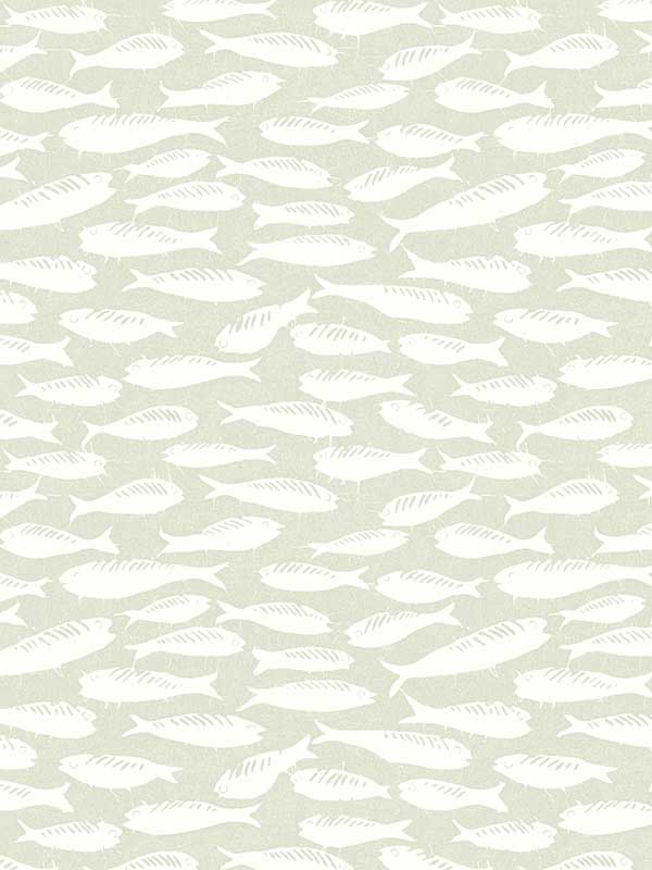 Nunkie Sage Sardine Wallpaper 312210514 by Chesapeake Wallpaper for sale at Wallpapers To Go