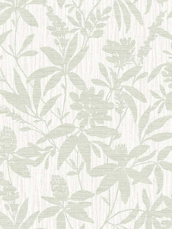 Riemann Green Floral Wallpaper 402582535 by Advantage Wallpaper for sale at Wallpapers To Go