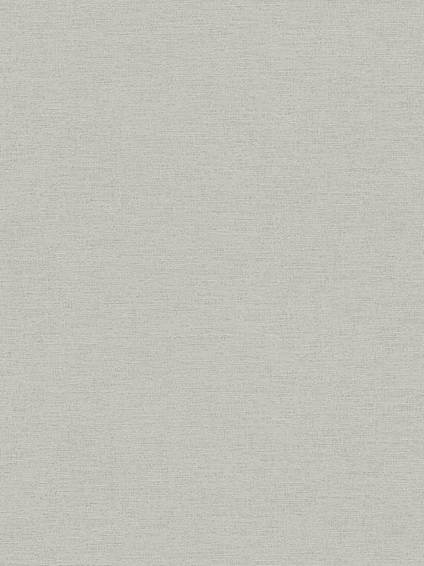 Canseco Grey Distressed Texture Wallpaper 4044306894 by Advantage Wallpaper for sale at Wallpapers To Go