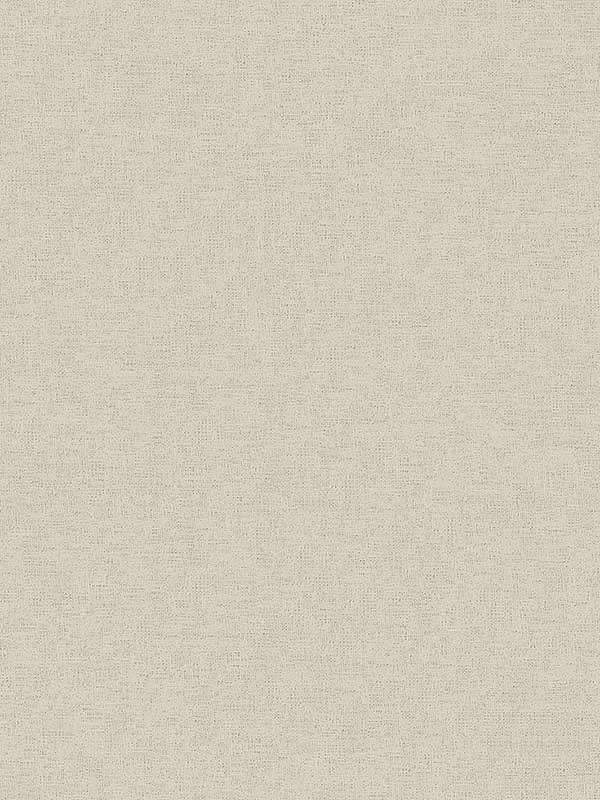 Estefan Neutral Distressed Texture Wallpaper 4044371782 by Advantage Wallpaper for sale at Wallpapers To Go