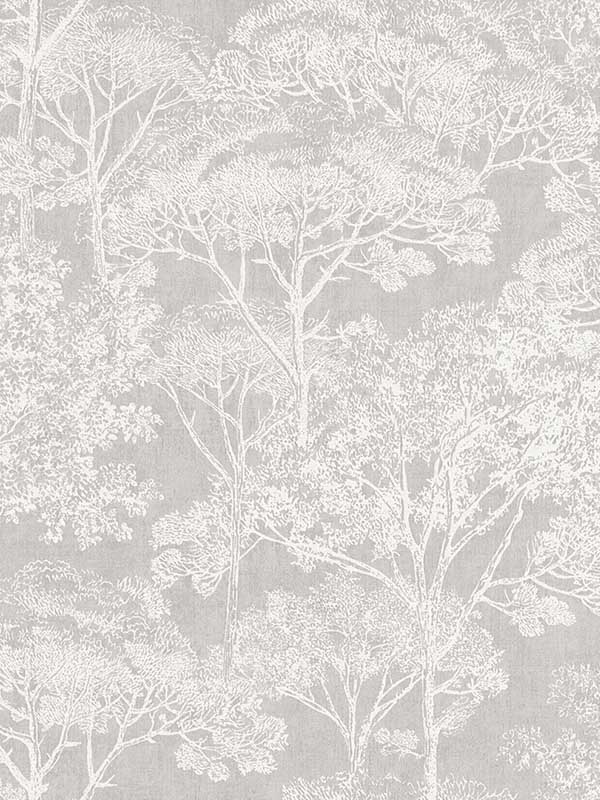 Teatro Grey Trees Wallpaper 4044380231 by Advantage Wallpaper for sale at Wallpapers To Go