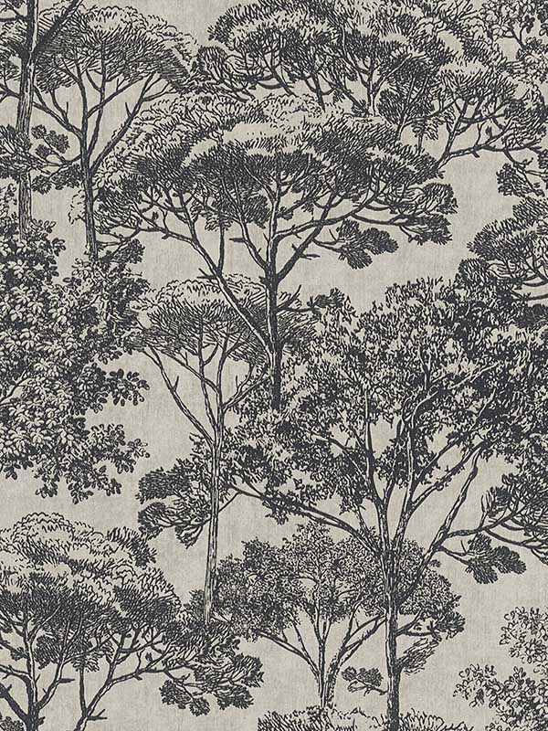 Teatro Black Trees Wallpaper 4044380233 by Advantage Wallpaper for sale at Wallpapers To Go