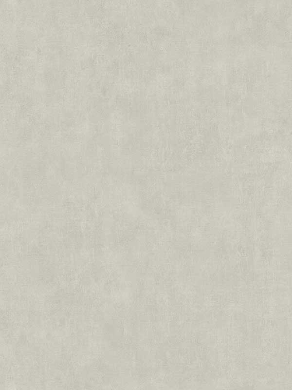 Riomar Taupe Distressed Texture Wallpaper 4044380241 by Advantage Wallpaper for sale at Wallpapers To Go