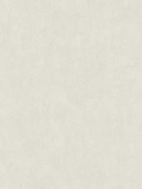 Riomar Off White Distressed Texture Wallpaper 4044380242 by Advantage Wallpaper for sale at Wallpapers To Go