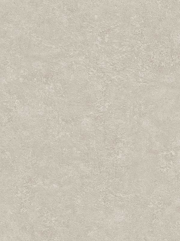Rini Beige Distressed Wallpaper 4035377451 by Advantage Wallpaper for sale at Wallpapers To Go