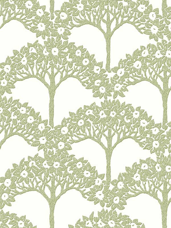 Dawson Green Magnolia Tree Wallpaper 297026114 by A Street Prints Wallpaper for sale at Wallpapers To Go