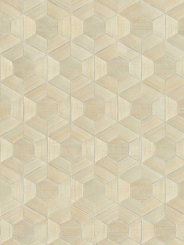 Linzhi Metallic Abaca Grasscloth Inlay Wallpaper 297286114 by A Street Prints Wallpaper for sale at Wallpapers To Go