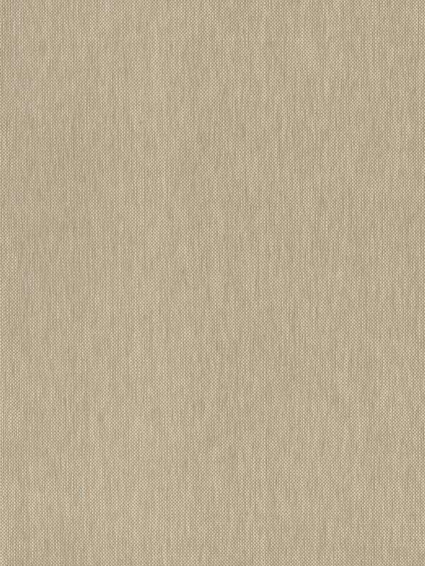 Jia Taupe Paper Weave Grasscloth Wallpaper 297286140 by A Street Prints Wallpaper for sale at Wallpapers To Go