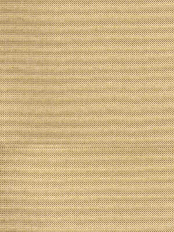 Maylin Gold Paper Weave Grasscloth Wallpaper 297286144 by A Street Prints Wallpaper for sale at Wallpapers To Go
