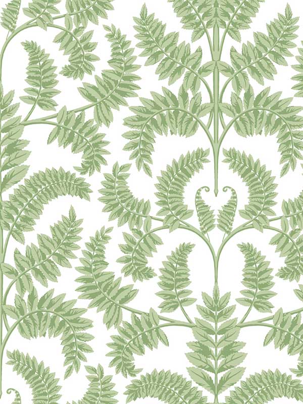 Royal Fern Damask Green Wallpaper DM4961 by York Wallpaper for sale at Wallpapers To Go