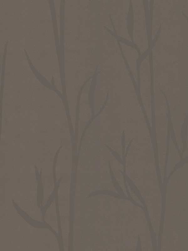 Matcha Brown Wallpaper DA3509 by York Wallpaper for sale at Wallpapers To Go