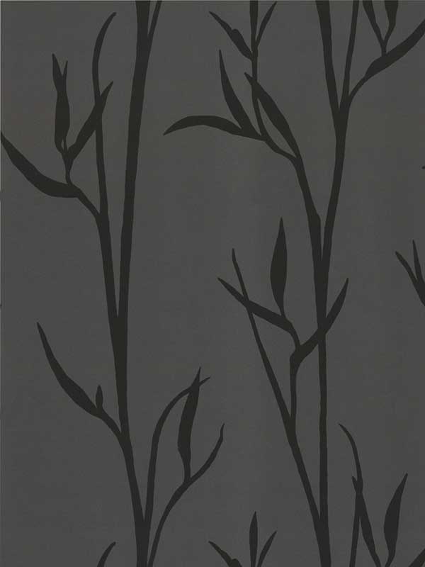 Matcha Black Wallpaper DA3511N by York Wallpaper for sale at Wallpapers To Go