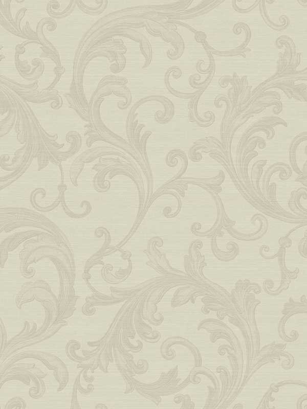 Noemi Cream Acanthus Wallpaper 405824832 by Brewster Wallpaper for sale at Wallpapers To Go