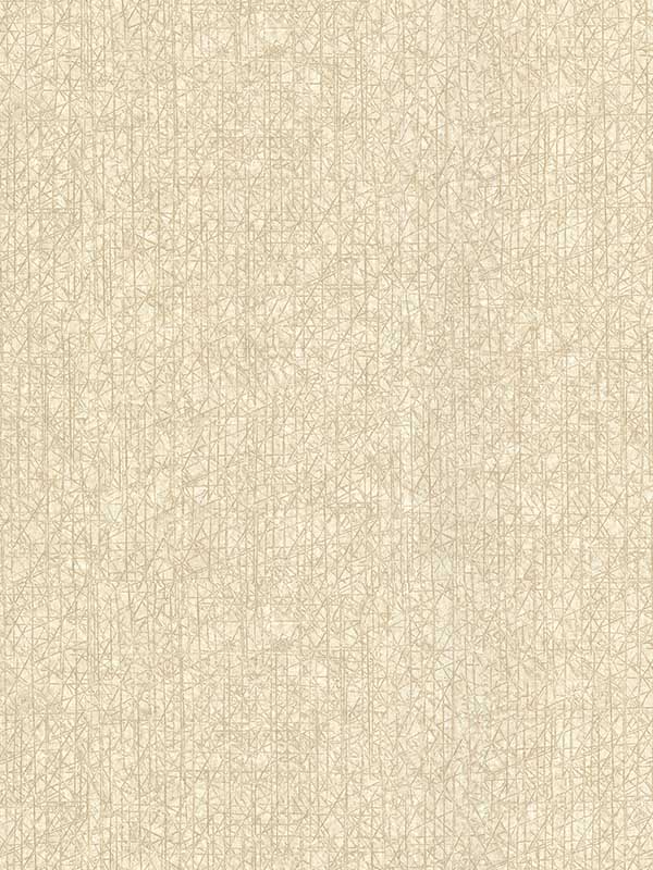 Nagano Taupe Distressed Texture Wallpaper 29842212 by Warner Wallpaper for sale at Wallpapers To Go