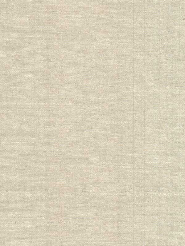 Aspero Champagne Faux Grasscloth Wallpaper 298487911 by Warner Wallpaper for sale at Wallpapers To Go