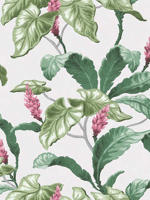 Meridian Parade Green Tropical Leaves Wallpaper M1692 by Brewster Wallpaper for sale at Wallpapers To Go
