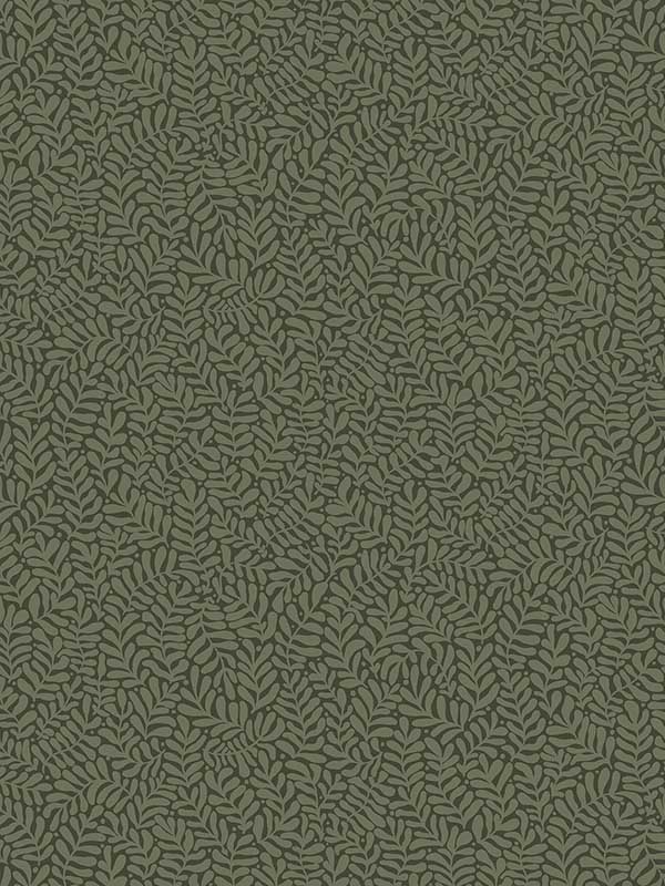 Anna Dark Green Fern Trail Wallpaper 299955000 by A Street Prints Wallpaper for sale at Wallpapers To Go
