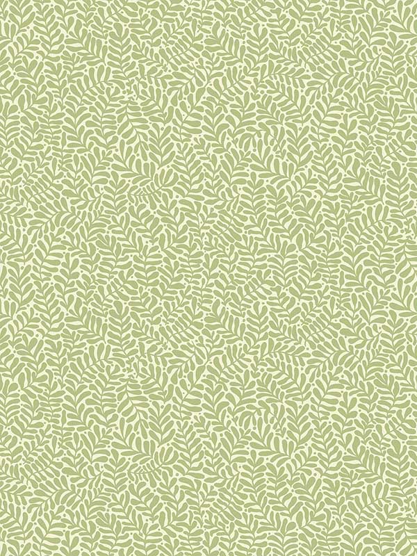 Anna Light Green Fern Trail Wallpaper 299955001 by A Street Prints Wallpaper for sale at Wallpapers To Go