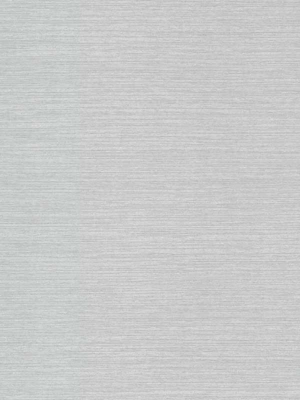 Shining Sisal Silver White Wallpaper DD3731 by Antonina Vella Wallpaper for sale at Wallpapers To Go