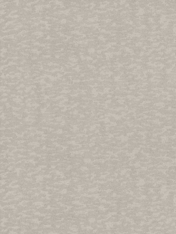 Weathered Cypress Taupe Wallpaper DD3752 by Antonina Vella Wallpaper for sale at Wallpapers To Go
