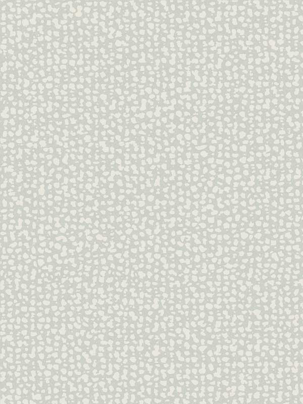 Galaxies Gray Wallpaper DD3804 by Antonina Vella Wallpaper for sale at Wallpapers To Go