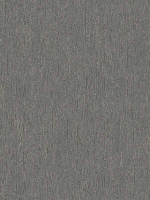 Natural Texture Gray Wallpaper Y6201302 by Antonina Vella Wallpaper for sale at Wallpapers To Go
