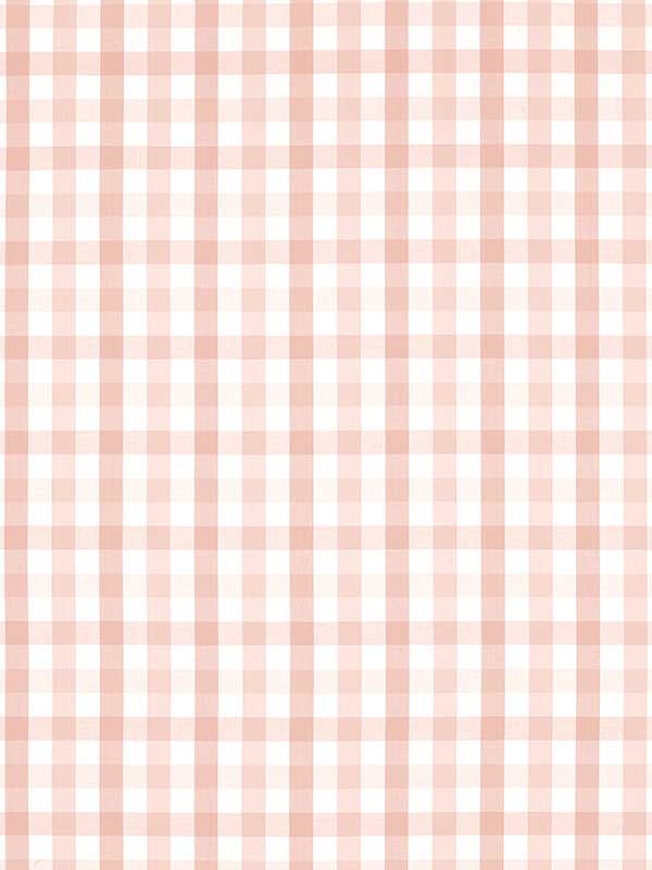 Saybrook Check Blush Fabric AW15148 by Anna French Fabrics for sale at Wallpapers To Go