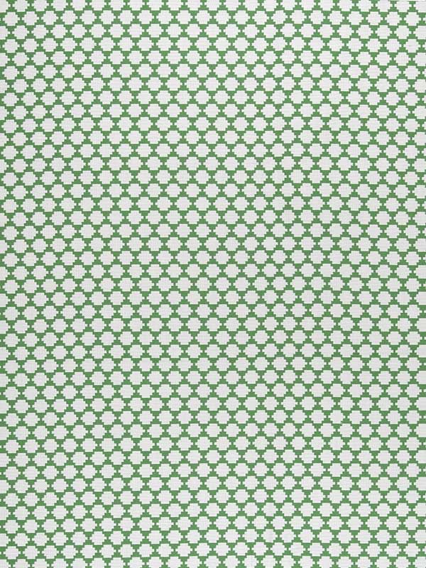 Bijou Green Fabric W775452 by Thibaut Fabrics for sale at Wallpapers To Go